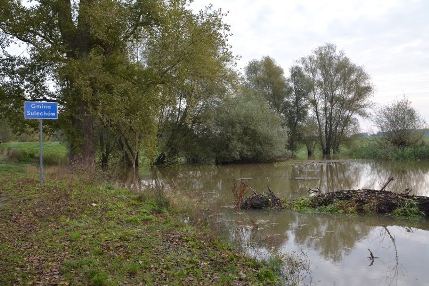 Promy w Brodach i Pomorsku nie kursują. W Cigacicach utknął...