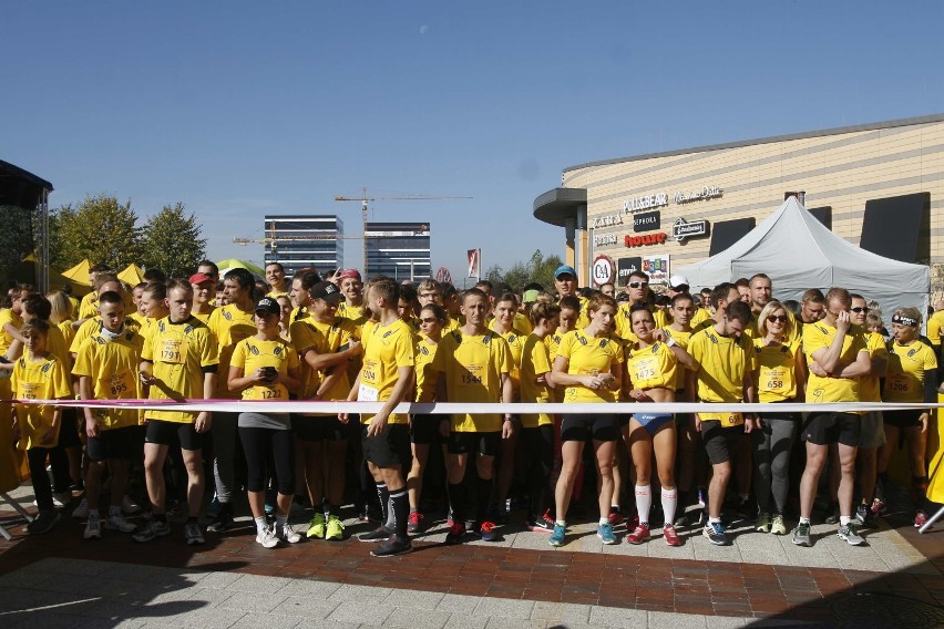 Silesia Marathon 2015. Zdjęcia z minimaratonu [WYNIKI]