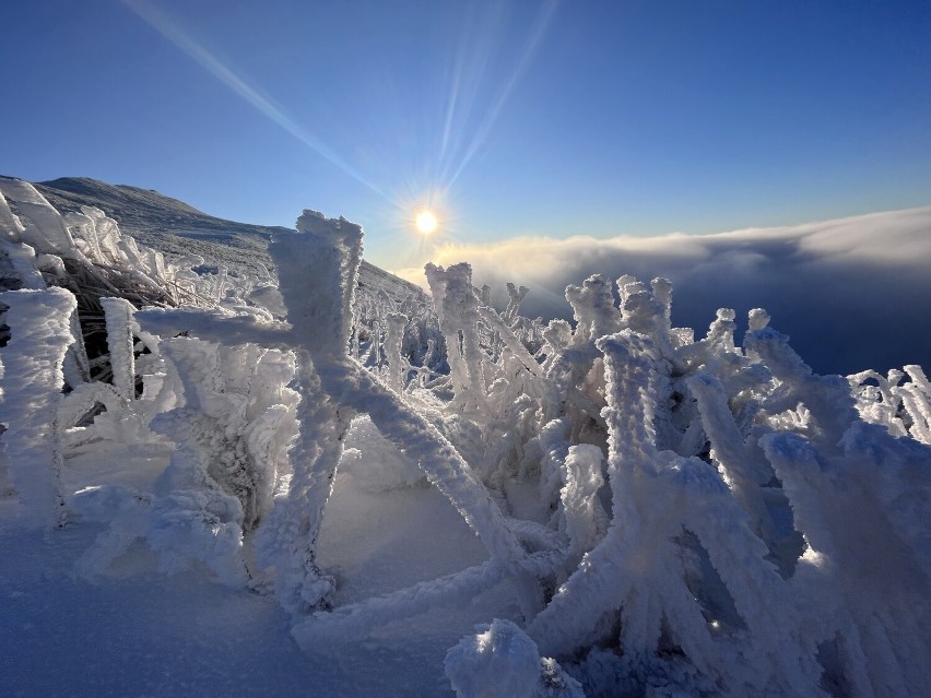 Bieszczady jak z bajki. Co za widok! Zobacz zdjęcia z wyprawy naszego Czytelnika