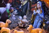 Szopki bożonarodzeniowe w Tczewie: zobacz świąteczny wystrój w kościołach [ZDJĘCIA]