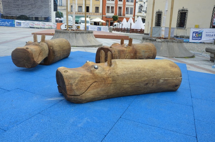 Rzeźby Wilkonia stanęły na Rynku. Hipopotamy będą hitem Tarnowa, czy kitem? 