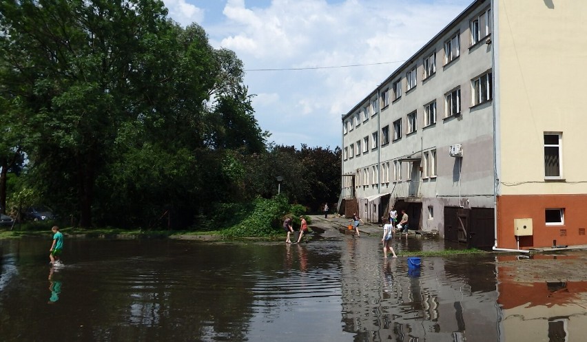 Burza niszczyła Stare Pole. Wiatr przewracał drzewa, linie energetyczne i łamał latarnie 