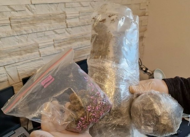 W mieszkaniu zajmowanym przez 23-letniego krakowianina znaleziono blisko 300 gramów marihuany
