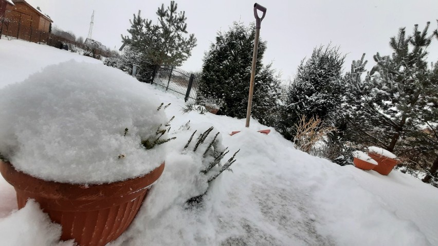 Powiat pucki: Śnieżny dzień na naszych drogach (wtorek. 9 lutego 2021). Nie tylko drogowców kompletnie zaskoczyły nocne opady | FOTO, WIDEO