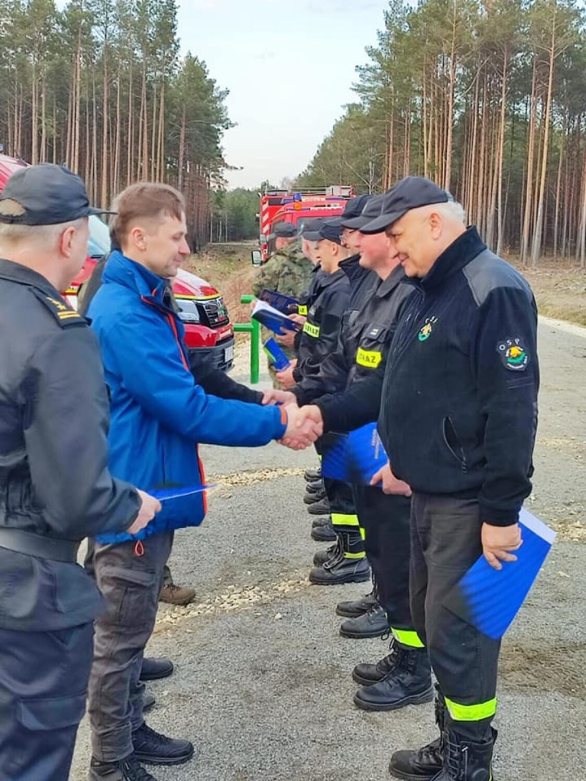 Strażacy posadzili 100 drzew w miejscu wielkiego pożaru sprzed kilku lat koło Żarnowa [ZDJĘCIA]