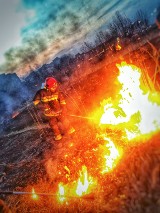 Już 42 razy strażacy gasili pożary traw. A to dopiero początek