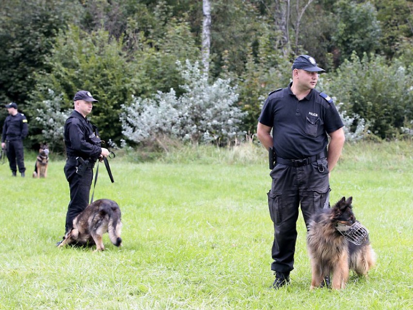 Zawody psów policyjnych w Szczecinie