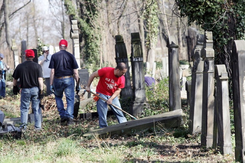 Sprzątają cmentarz żydowski w Legnicy