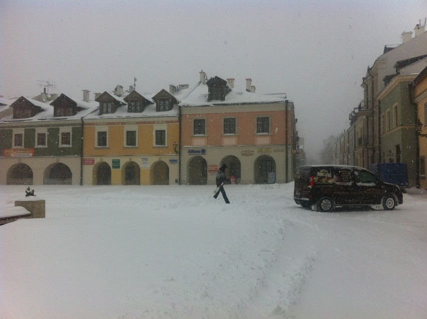 Zamość i region: Zima wróciła, ale najgorsze już za nami. ZDJĘCIA, RELACJA