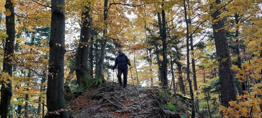 Trzy Korony jesienią. Górska wycieczka w malownicze Pieniny, skąd widać Tatry [ZDJĘCIA]