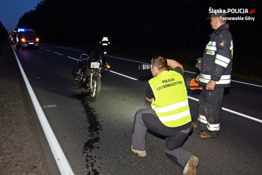 Tragiczny wypadek motocyklisty między Brynkiem a Strzybnicą. Uderzyli w sarnę, zginęli na miejscu