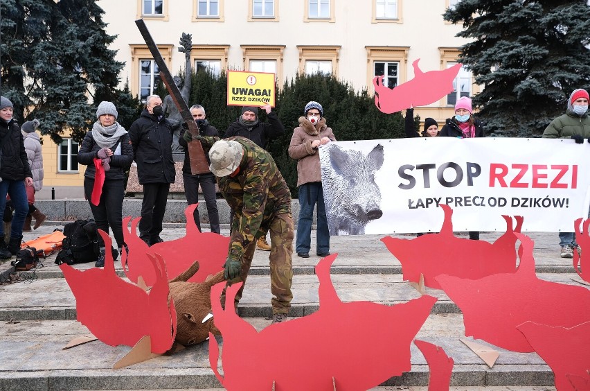 Protest w centrum Warszawy. "Stop rzezi dzików!". Trwa manifestacja przy rondzie de Gaulle'a