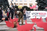 Protest w centrum Warszawy. "Stop rzezi dzików!". Trwa manifestacja przy rondzie de Gaulle'a