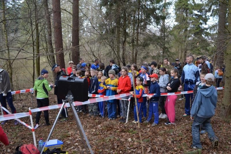 Biegi na orientację: 276 zawodników biegało z mapą w lasach Miłosnej