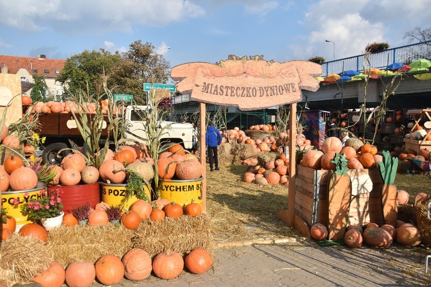 Dyniowy zakątek na "śremskim fyrtlu"! Miasteczko Dyniowe przy ulicy Wyszyńskiego otwarte [zdjęcia]