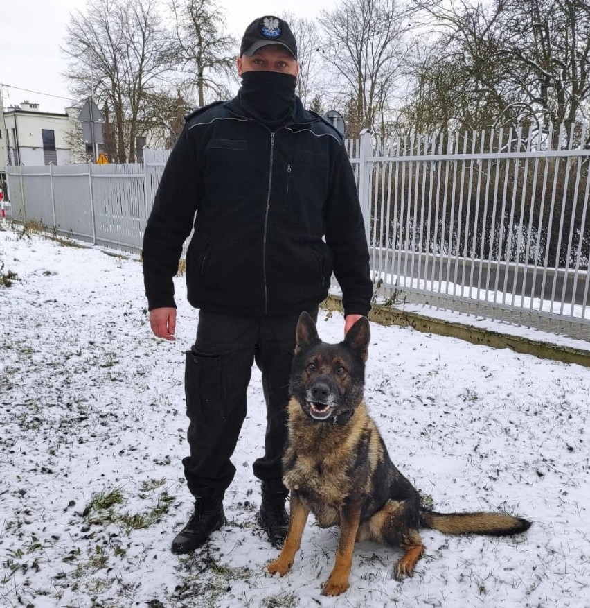 Policyjne psy w Piotrkowie