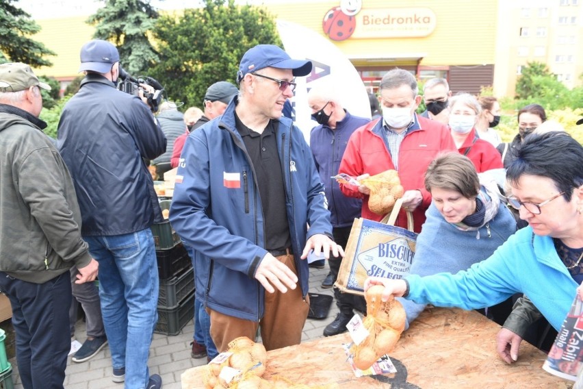  Rolnicy z AgroUnii protestują na Rubinkowie w Toruniu i rozdają kartofle. Zobacz zdjęcia!