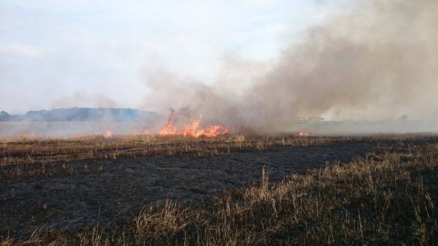 Groźne pożary na polach