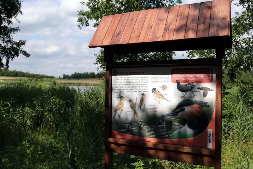 Wokół Zalewu Pniowiec zainstalowano tablice edukacyjne