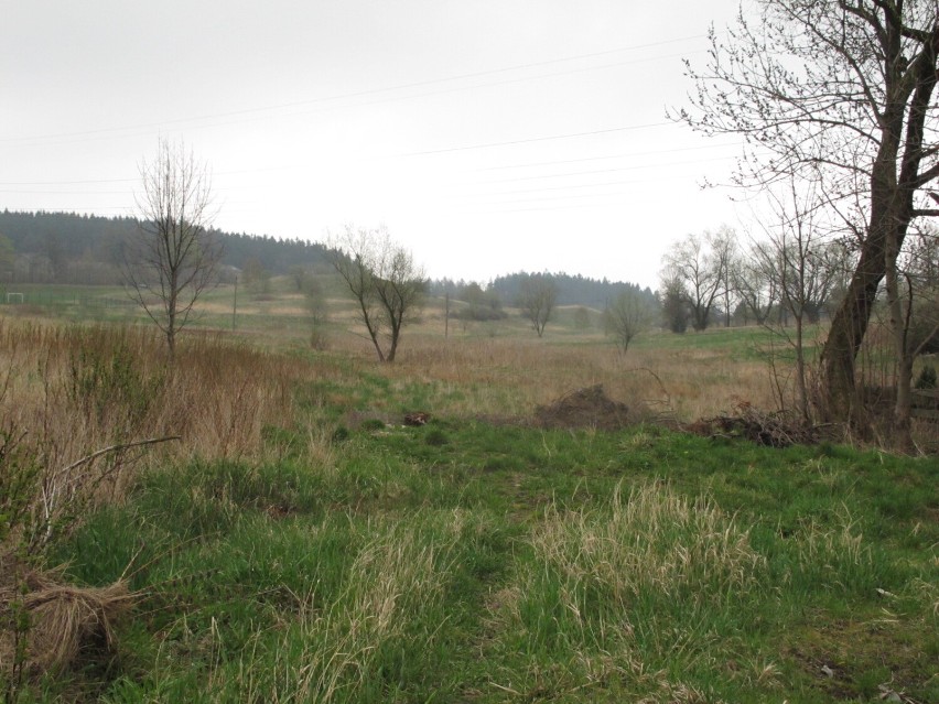 Tędy pobiegnie obwodnica Boguszowa - fot. archiwalne