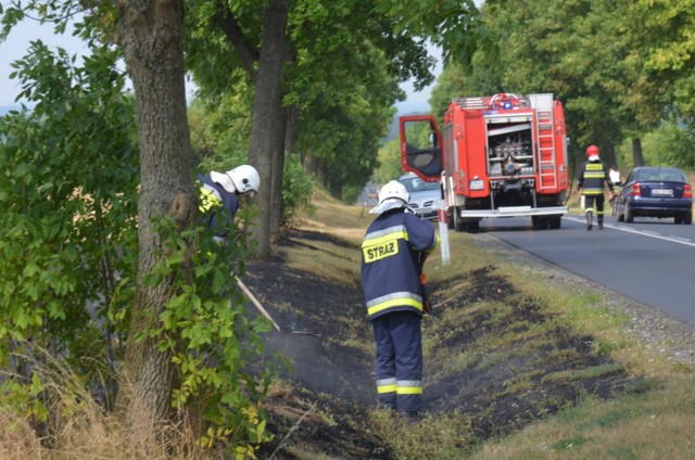 Pożar ścierniska w Truskolasach