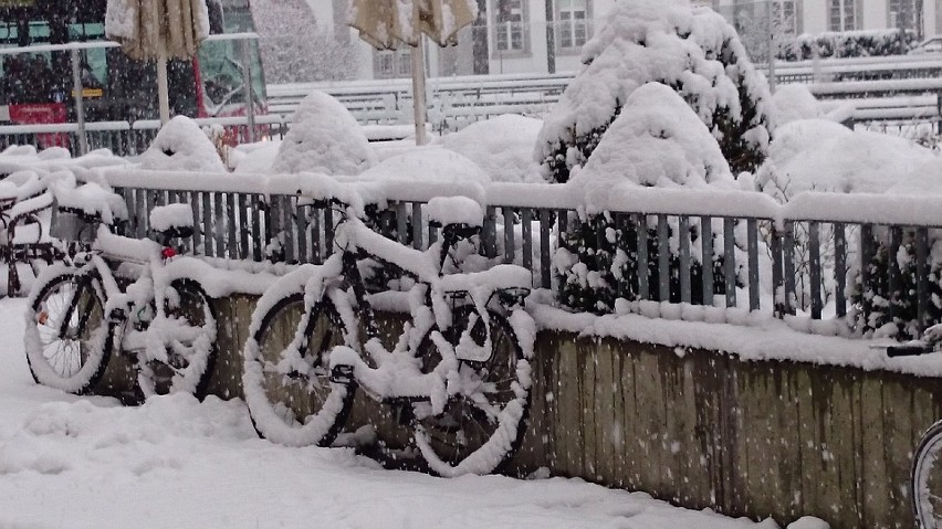 Naciąga prawdziwa zima? Dzisiaj w Warszawie spadnie śnieg!