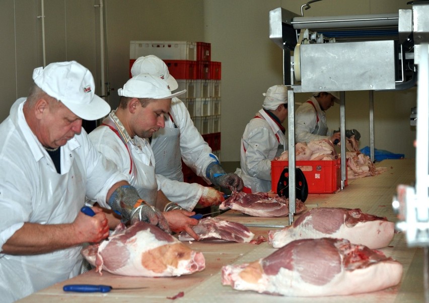 Jastrzębie-Zdrój: Radni w ramach pracy pojechali do zakładu mięsnego