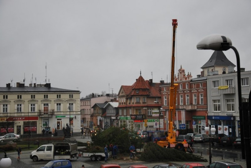 Choinka już stoi na swoim miejscu