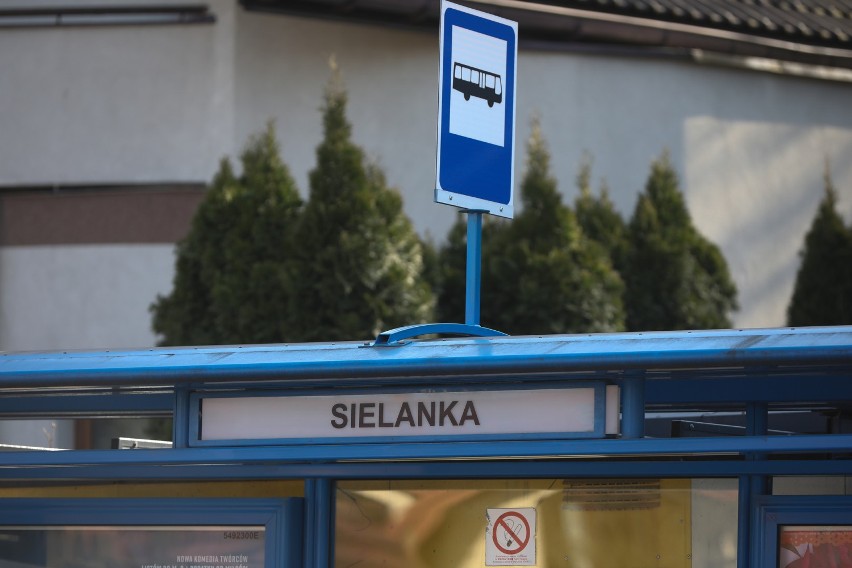 Przystanek Sielanka znajduje się w dzielnicy Zwierzyniec...
