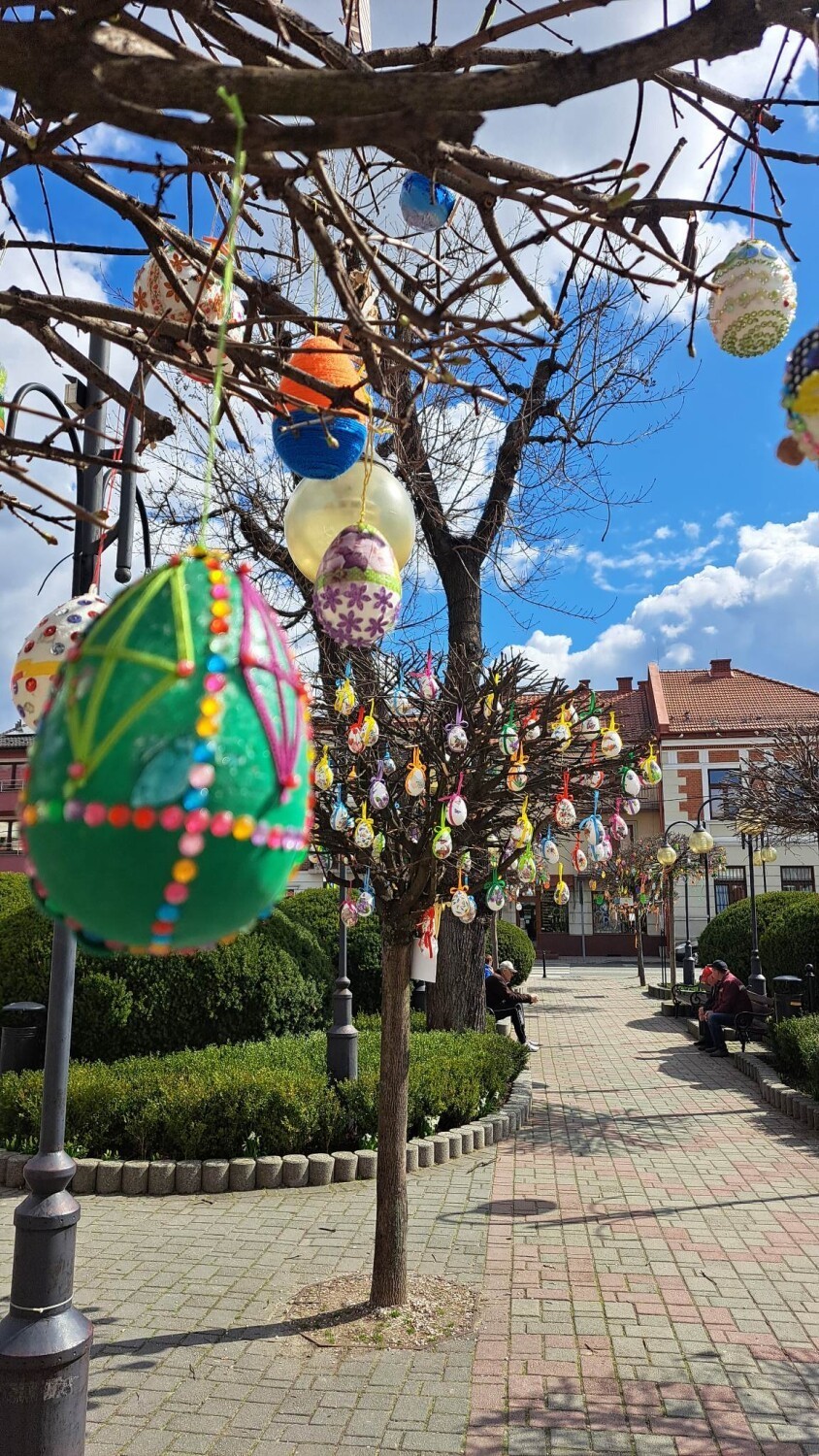 Kolorowe pisanki ozdobiły drzewa na rynku w Tuchowie