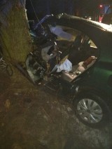 Wypadek w Patokach. Samochód uderzył w drzewo [zdjęcia]