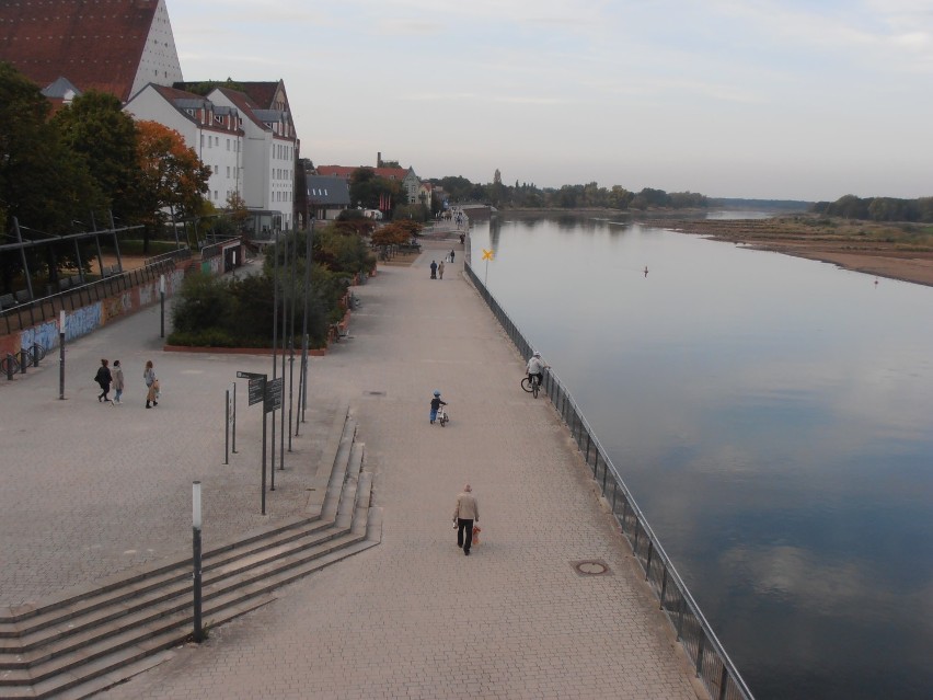 Frankfurt nad Odrą