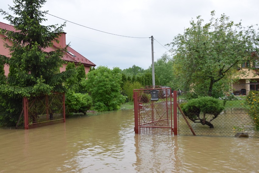 Łęg Tarnowski. Mieszkańcom woda wlewa się na podwórka i wchodzi do domów