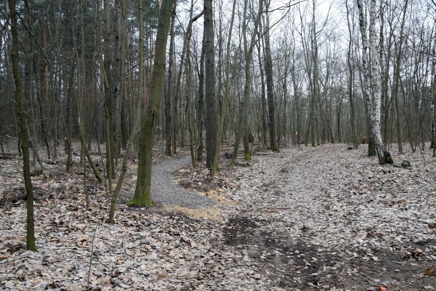 Górska atrakcja w Zielonej Górze? Dlaczego nie!