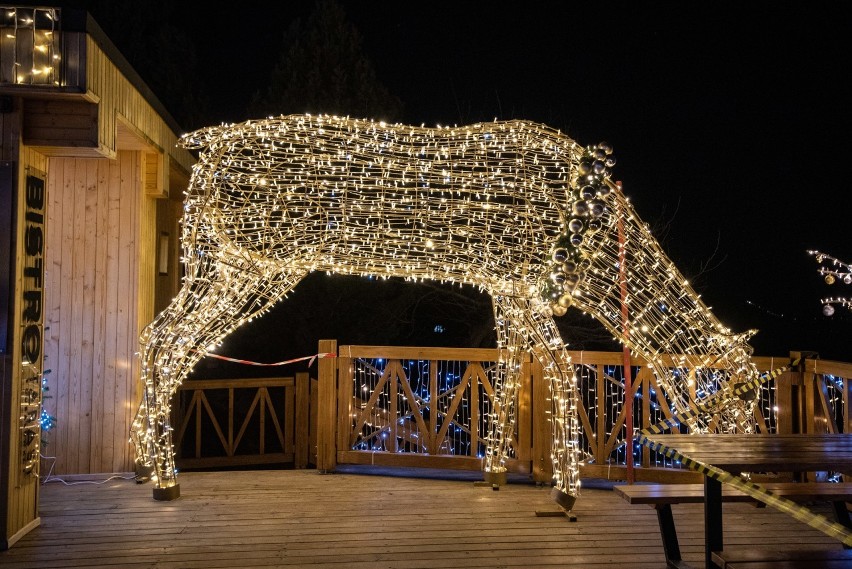 Zakopane. Kraina Światła na Gubałówce. Rozbłysło milion ledowych żarówek. Wygląda to magicznie 