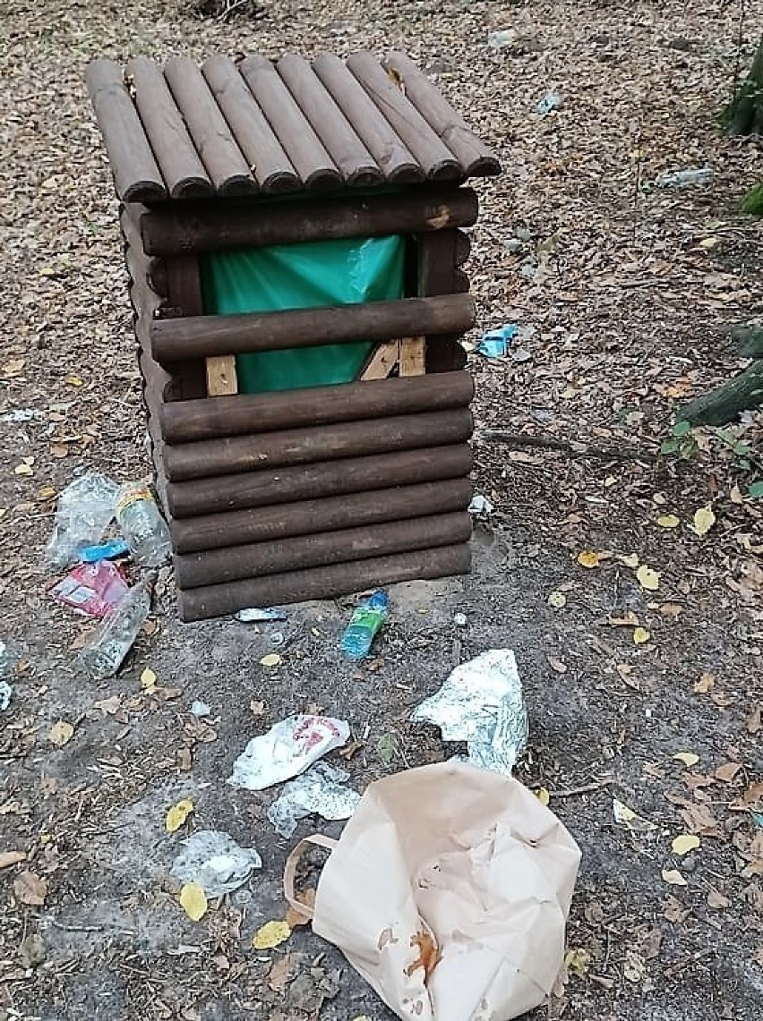 Wandale zdewastowali ścieżkę edukacyjną i kładkę nad rzeczką...