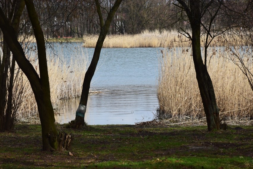 Zalew w Kraśniku szykuje się na wiosnę. Zobacz zdjęcia z niedzielnego spaceru nad kraśnickim zalewem (ZDJĘCIA)