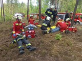 Wielkie ćwiczenia strażaków ochotników z Dąbrowy Górniczej. Musieli sobie radzić z płonącym lasem, zająć się rannymi 