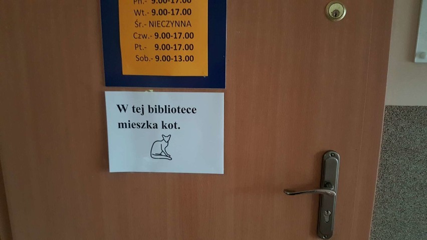 W Bibliotece Publicznej w Międzychodzie zamieszkał... kot -...