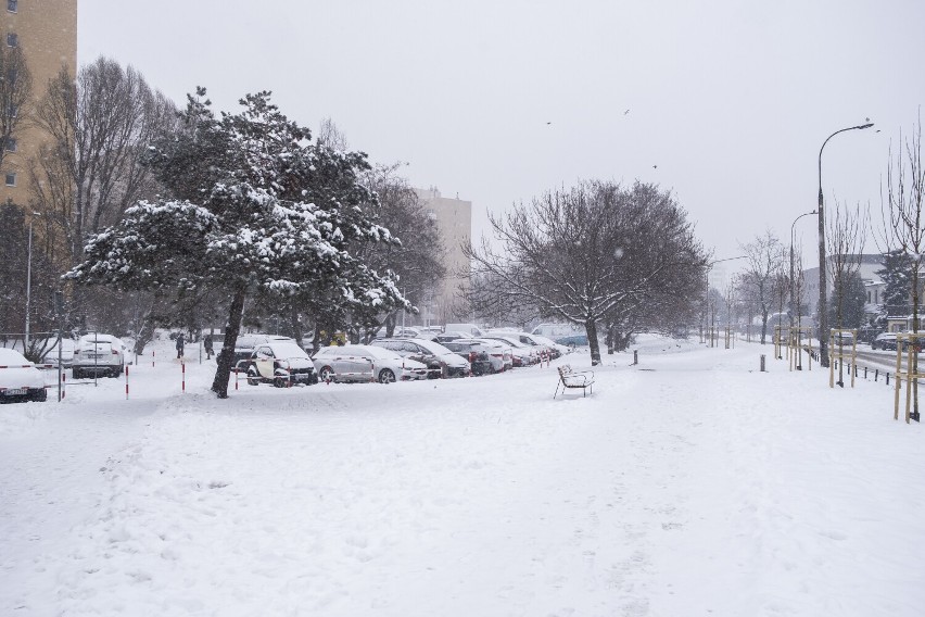 Pogoda w Warszawie. Wracają intensywne opady śniegu. W stolicy spadnie nawet 10 cm białego puchu. Będzie paraliż komunikacyjny?