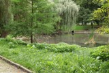 Park nad Strumykiem w Głogowie to piękne miejsce na spacer. Ma też swoją historię