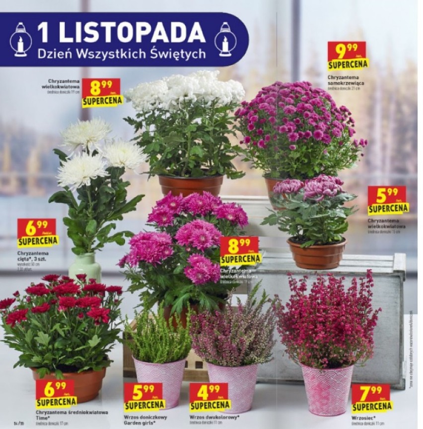 Biedronka - Oferta dostępna od 28 października 2019 do 2 listopada 2019