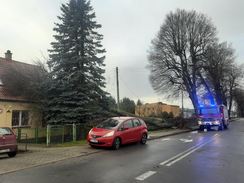 35 interwencji strażaków w Goleniowie i okolicach. Podsumowanie działań podczas wichury