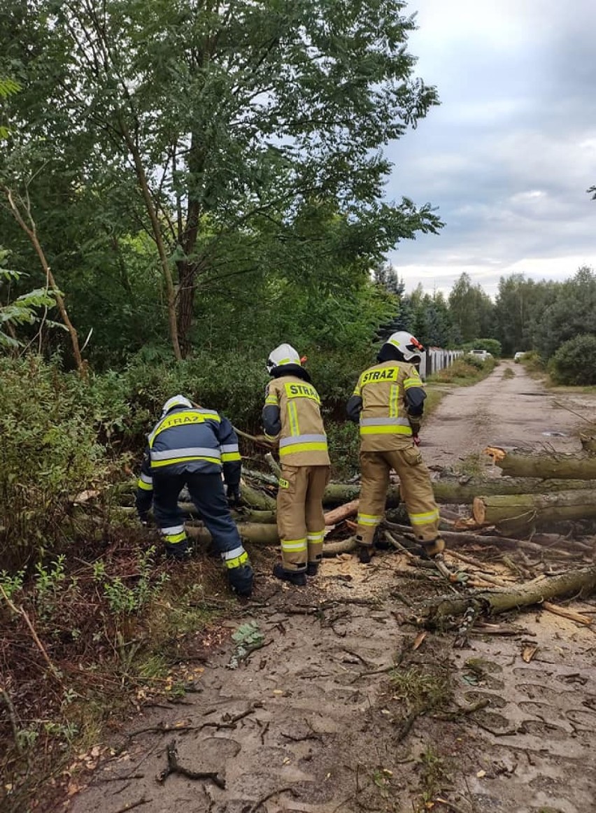 Burze na Mazowszu. Strażacy interweniowali ponad 700 razy. W wyniku wichur zginęła 1 osoba, 7 tys. pozostaje bez prądu