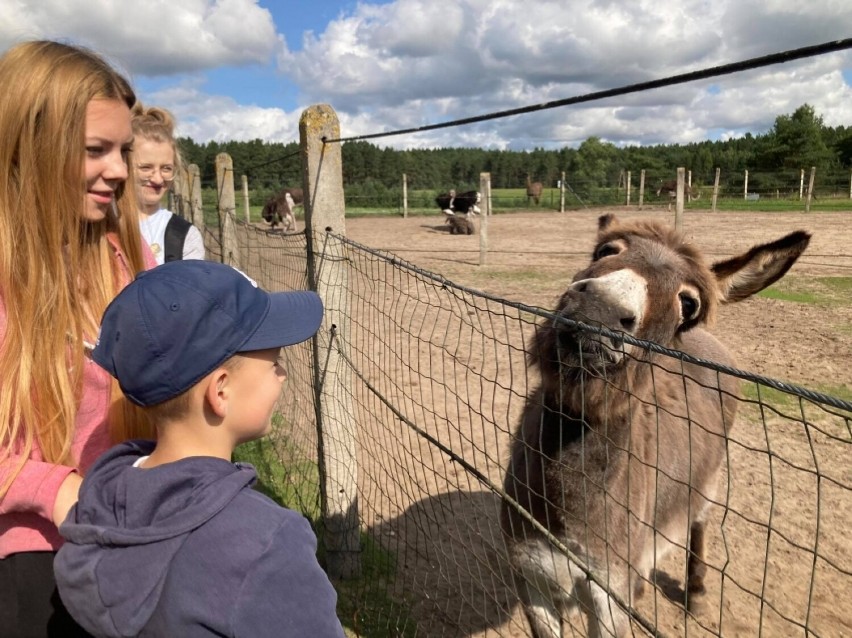 Dzieci z Kłosowa i Tokar odwiedziły strusią farmę w Kniewie