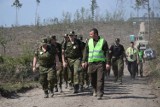 Niemal trzy lata po nawałnicy. Raport ze środka lasu