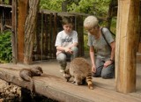 Ogrody zoologiczne żądają ponownego otwarcia, a saksoński sąd przyznaje im rację