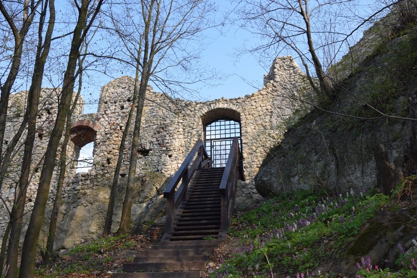 Zamek w Smoleniu czeka na turystów [ZDJĘCIA]