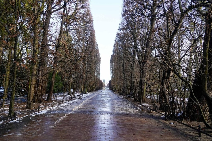 Można też odwiedzić Park Oliwski