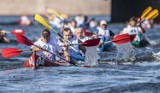 Kajakowy wyścig Red Bull Wiosłem po Odrze po raz trzeci we Wrocławiu